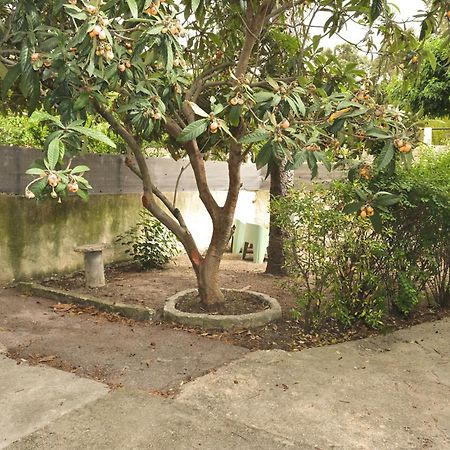 Studio Independant Avec Jardin Bouc-Bel-Air Exterior foto